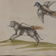Illustration for article titled The 16th century plan to weaponize cats and birds with rocket packs